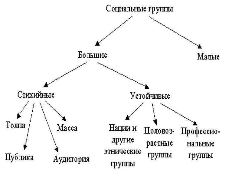 социальные группы виды